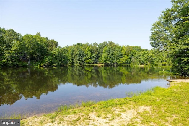 12803 Lake Wilderness Ln, Spotsylvania, VA 22551 - photo 74