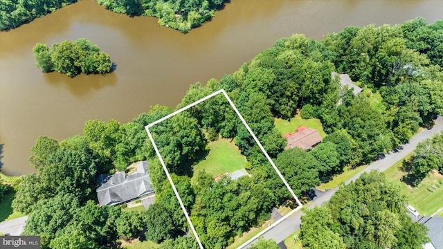 12803 Lake Wilderness Ln, Spotsylvania, VA 22551 - photo 4
