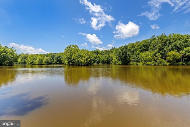 12803 Lake Wilderness Ln, Spotsylvania, VA 22551 - photo 54