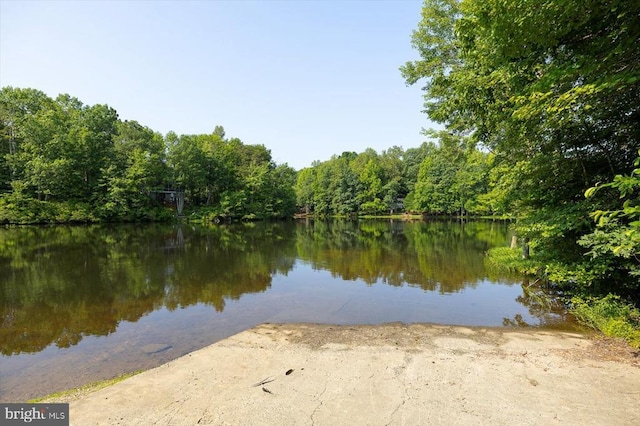 12803 Lake Wilderness Ln, Spotsylvania, VA 22551 - photo 75