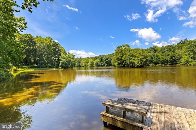 12803 Lake Wilderness Ln, Spotsylvania, VA 22551 - photo 52