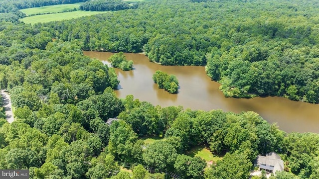 12803 Lake Wilderness Ln, Spotsylvania, VA 22551 - photo 32