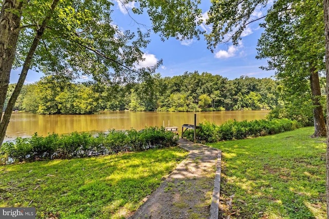 12803 Lake Wilderness Ln, Spotsylvania, VA 22551 - photo 2