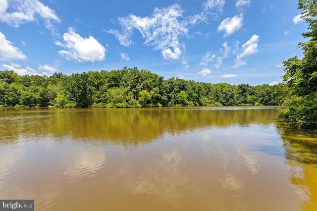 12803 Lake Wilderness Ln, Spotsylvania, VA 22551 - photo 53