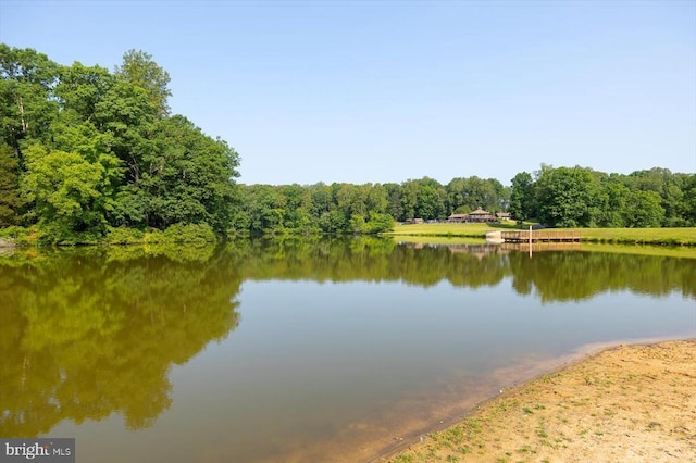 12803 Lake Wilderness Ln, Spotsylvania, VA 22551 - photo 72