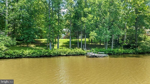 12803 Lake Wilderness Ln, Spotsylvania, VA 22551 - photo 38