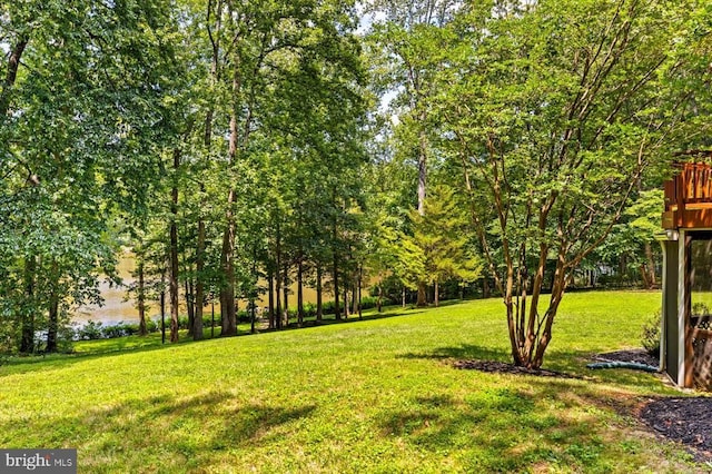 12803 Lake Wilderness Ln, Spotsylvania, VA 22551 - photo 59