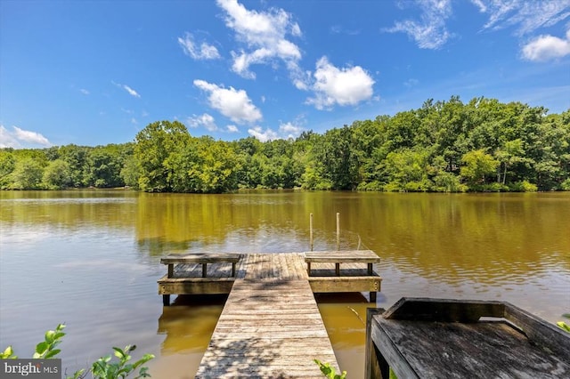 12803 Lake Wilderness Ln, Spotsylvania, VA 22551 - photo 3