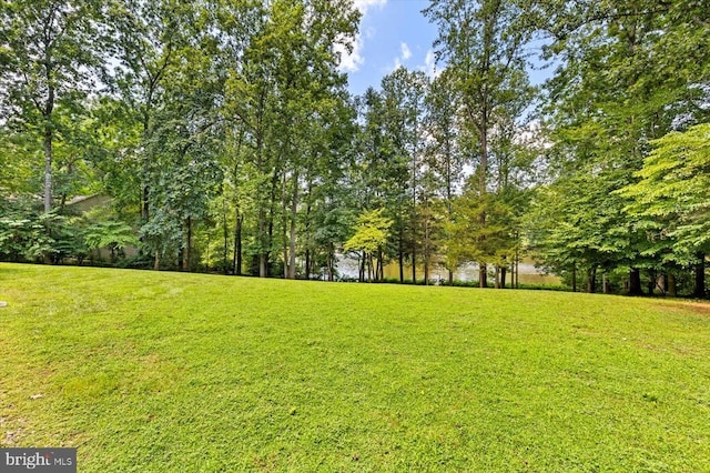 12803 Lake Wilderness Ln, Spotsylvania, VA 22551 - photo 49