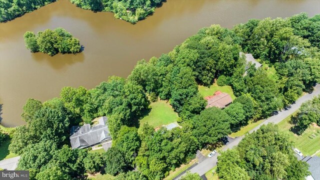12803 Lake Wilderness Ln, Spotsylvania, VA 22551 - photo 35