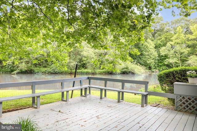 6908 Roxbury Mill Rd S, Spotsylvania, VA 22551 - photo 19
