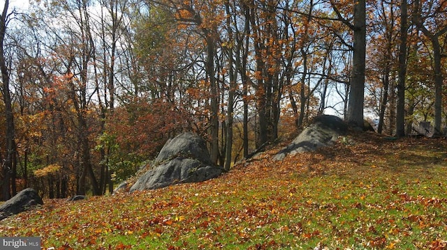  - view of undeveloped land