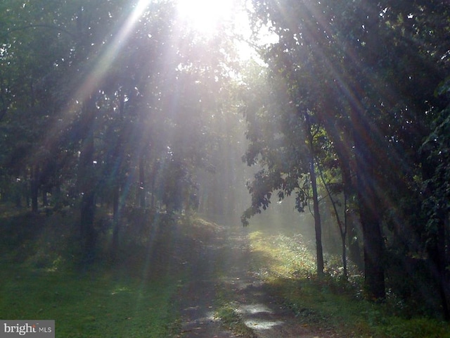  - view of road with a wooded view