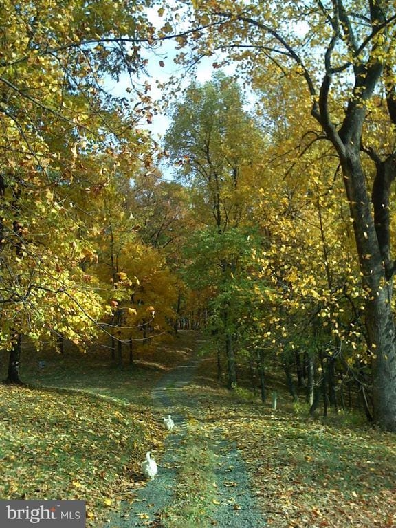  - view of yard