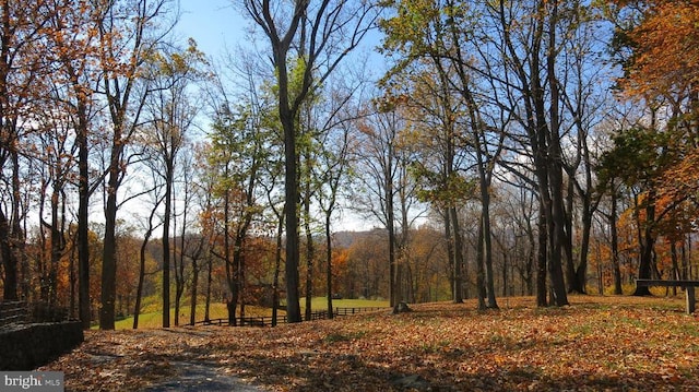  - view of woods