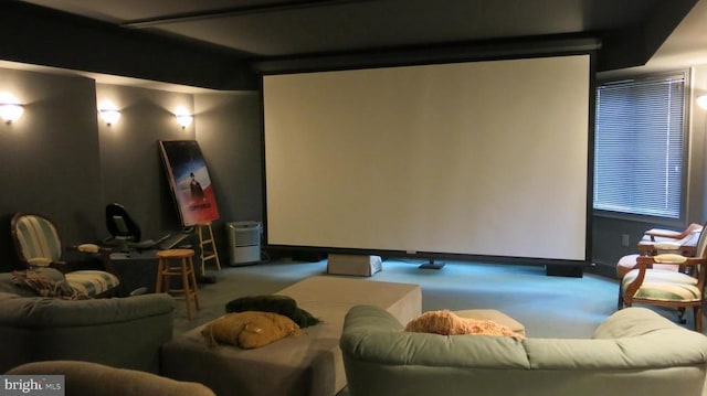  - carpeted cinema with baseboards
