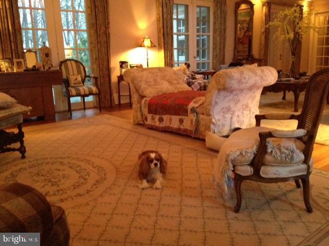  - bedroom featuring french doors and multiple windows
