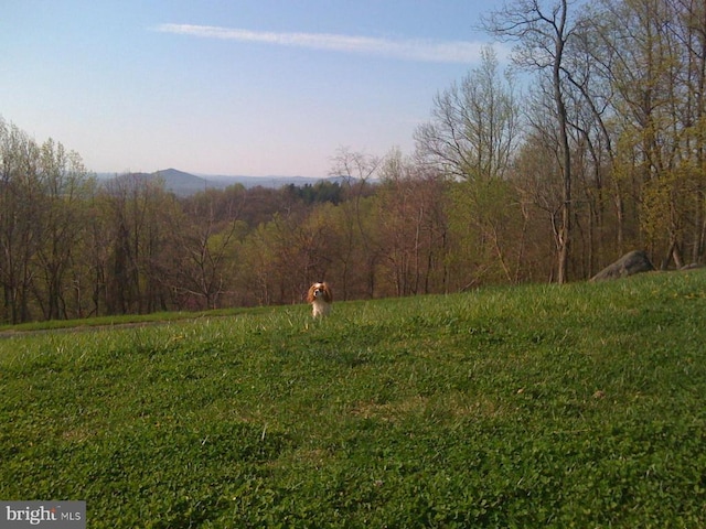  - view of yard with a forest view