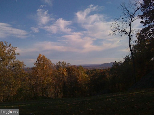  - view of mountain backdrop with a heavily wooded area