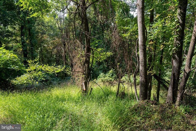 Price Ridge Rd, Stanley, VA 22851