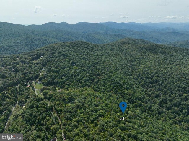 Price Ridge Rd, Stanley, VA 22851