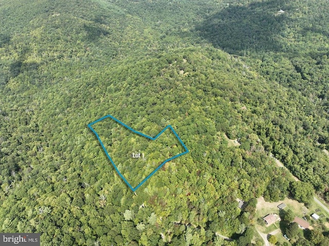 Price Ridge Rd, Stanley, VA 22851