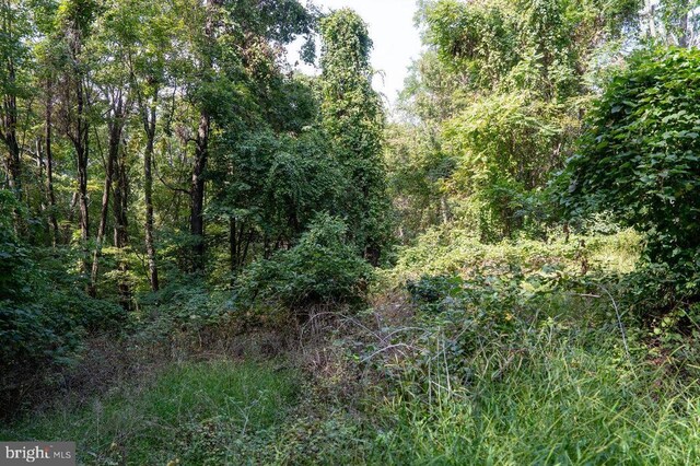 Price Ridge Rd, Stanley, VA 22851