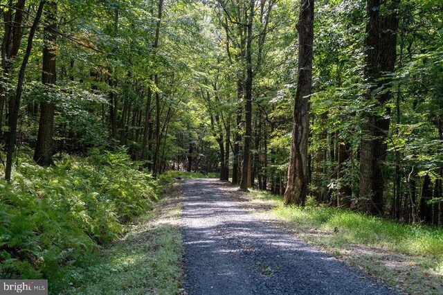 Price Ridge Rd, Stanley, VA 22851