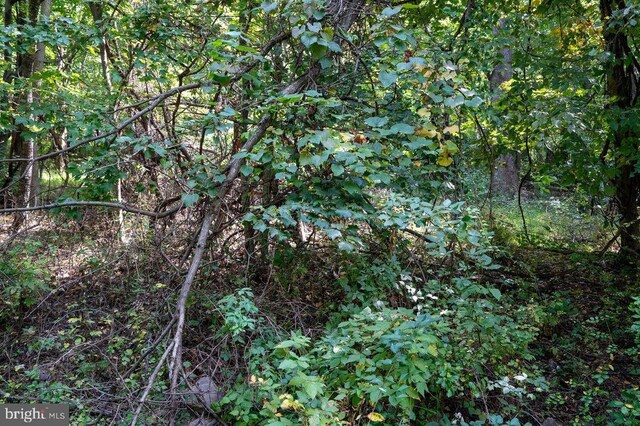 Price Ridge Rd, Stanley, VA 22851