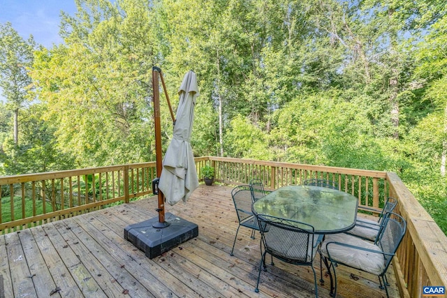 118 Roys Pl, Charlottesville, VA 22902 - photo 38