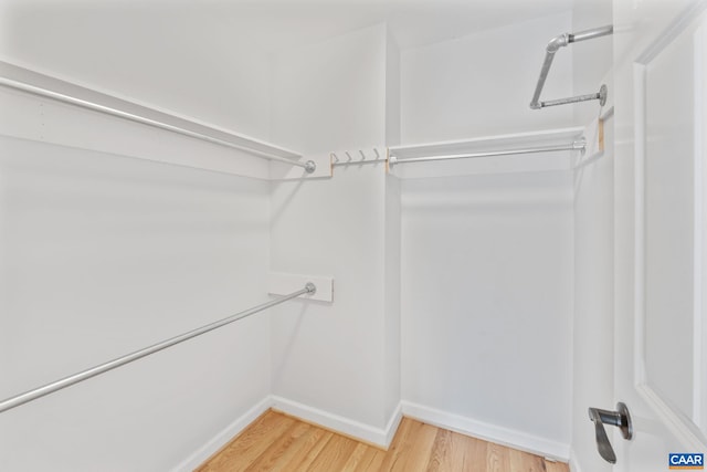 118 Roys Pl, Charlottesville, VA 22902 - photo 24
