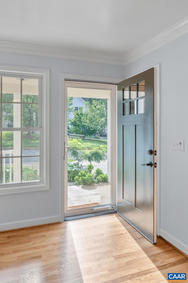 118 Roys Pl, Charlottesville, VA 22902 - photo 61