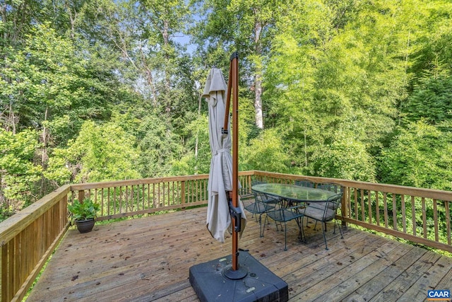 118 Roys Pl, Charlottesville, VA 22902 - photo 39