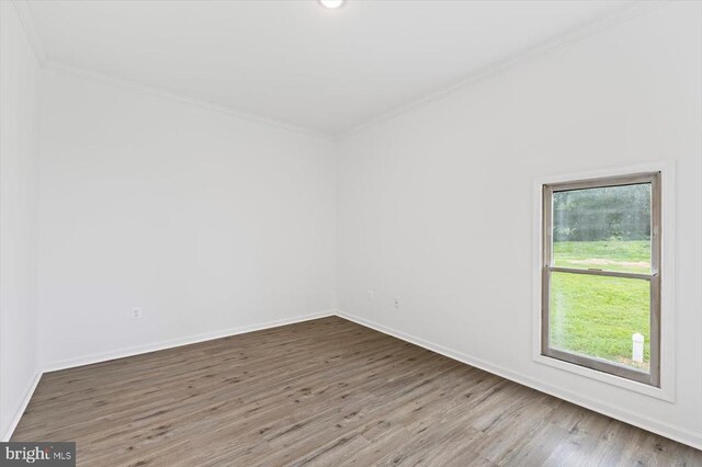 7670 Courthouse Rd, Spotsylvania, VA 22551 - photo 49