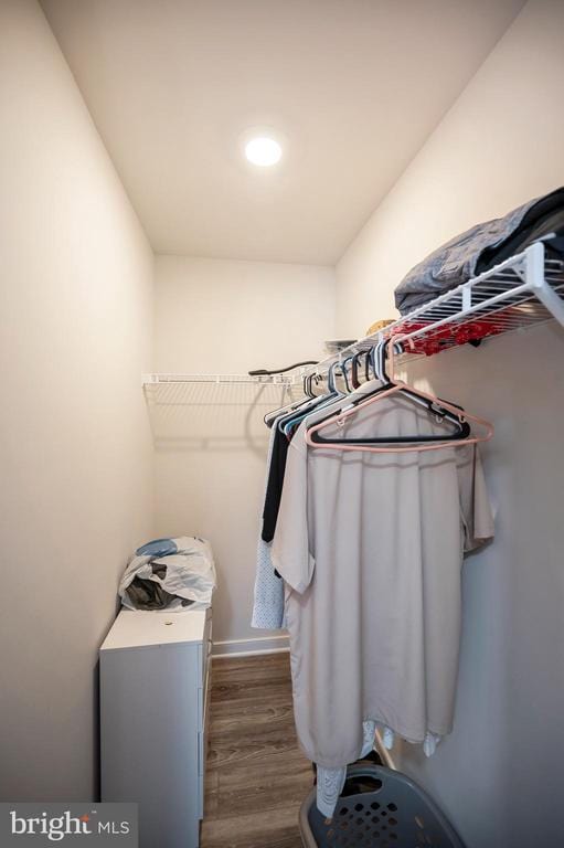 spacious closet featuring wood finished floors
