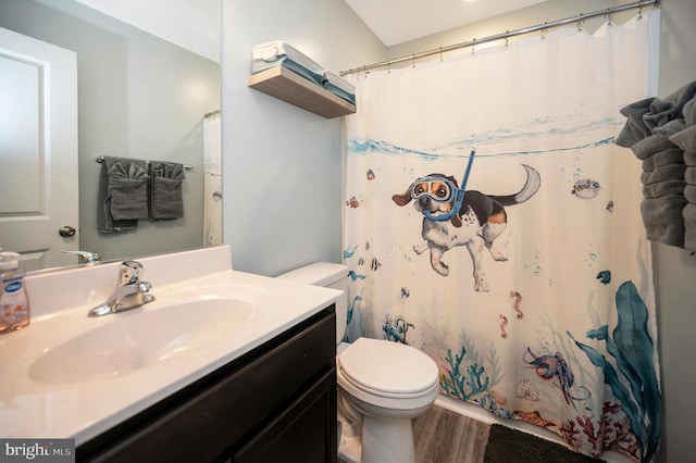bathroom with wood finished floors, toilet, vanity, and a shower with shower curtain