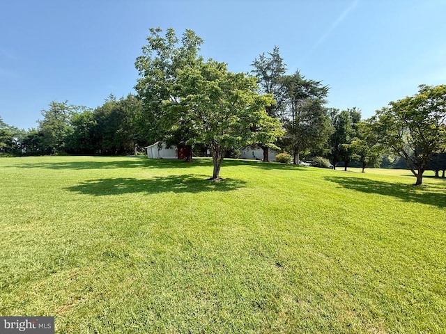 11281 Crestview Dr, Orange, VA 22960 - photo 20