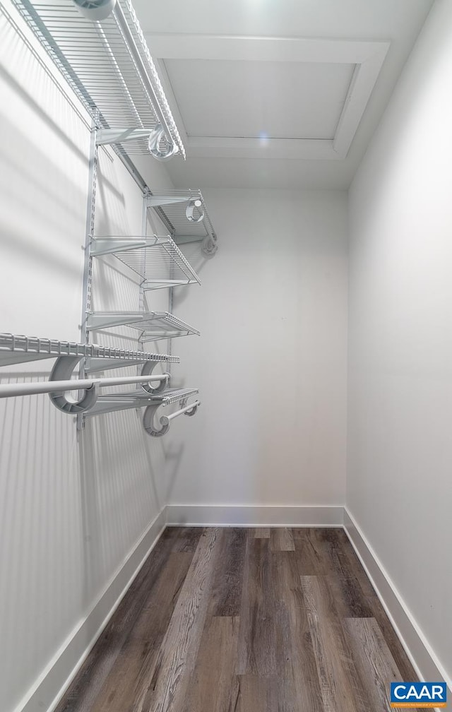walk in closet with wood finished floors