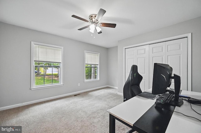 1003 Confederate Dr, Locust Grove, VA 22508 - office with ceiling fan and carpet