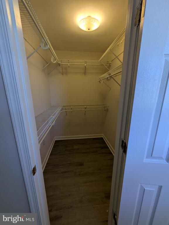 6461 Brokenburg Rd, Spotsylvania, VA 22551 - walk in closet with dark wood finished floors