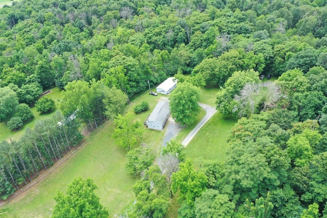 291 Wild Rose Ln, New Market, VA 22844 - aerial view of property's location with a heavily wooded area