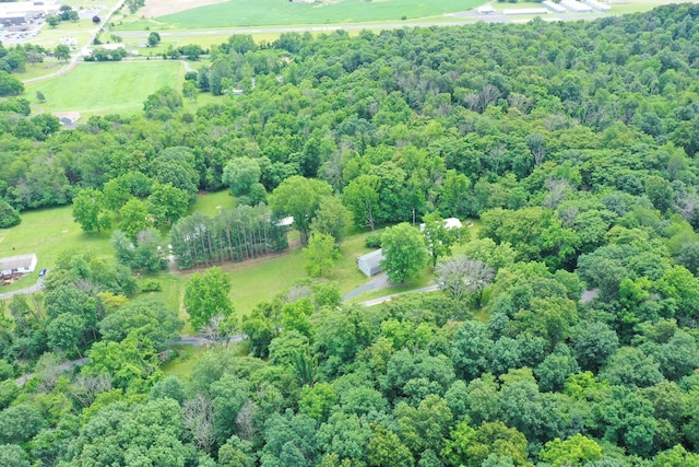 291 Wild Rose Ln, New Market, VA 22844 - view of property location with a heavily wooded area and rural landscape