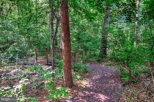 101 Birch Ct, Locust Grove, VA 22508 - photo 32