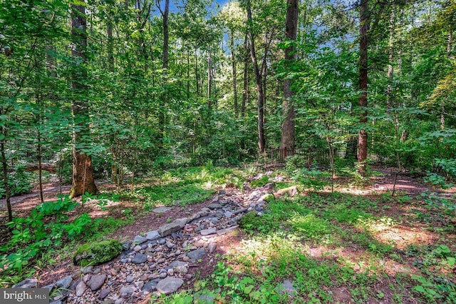 101 Birch Ct, Locust Grove, VA 22508 - photo 5