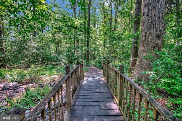 101 Birch Ct, Locust Grove, VA 22508 - photo 4