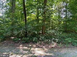 Madeline Ln, Mineral, VA 23117