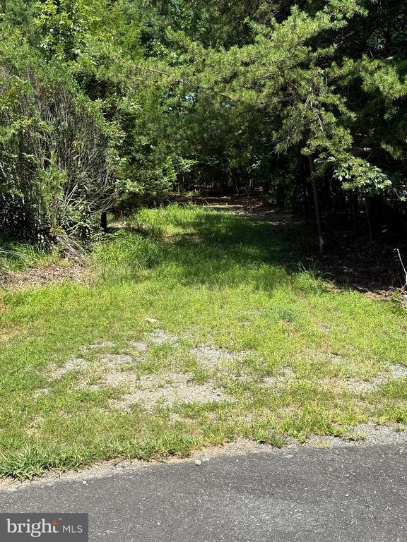 Madeline Ln, Mineral, VA 23117 - photo 1