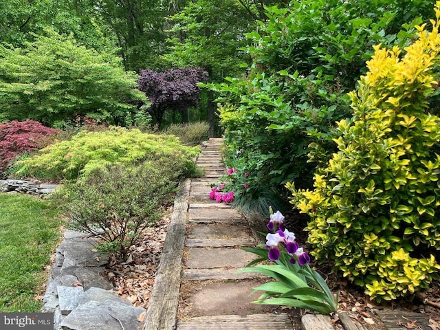 188 Byrd Point Ln, Louisa, VA 23093 - view of yard with stairway