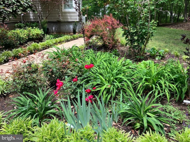 188 Byrd Point Ln, Louisa, VA 23093 - view of yard
