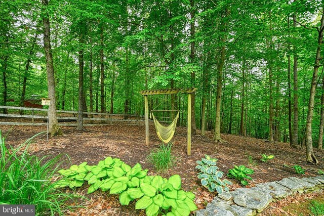 188 Byrd Point Ln, Louisa, VA 23093 - view of yard with a forest view